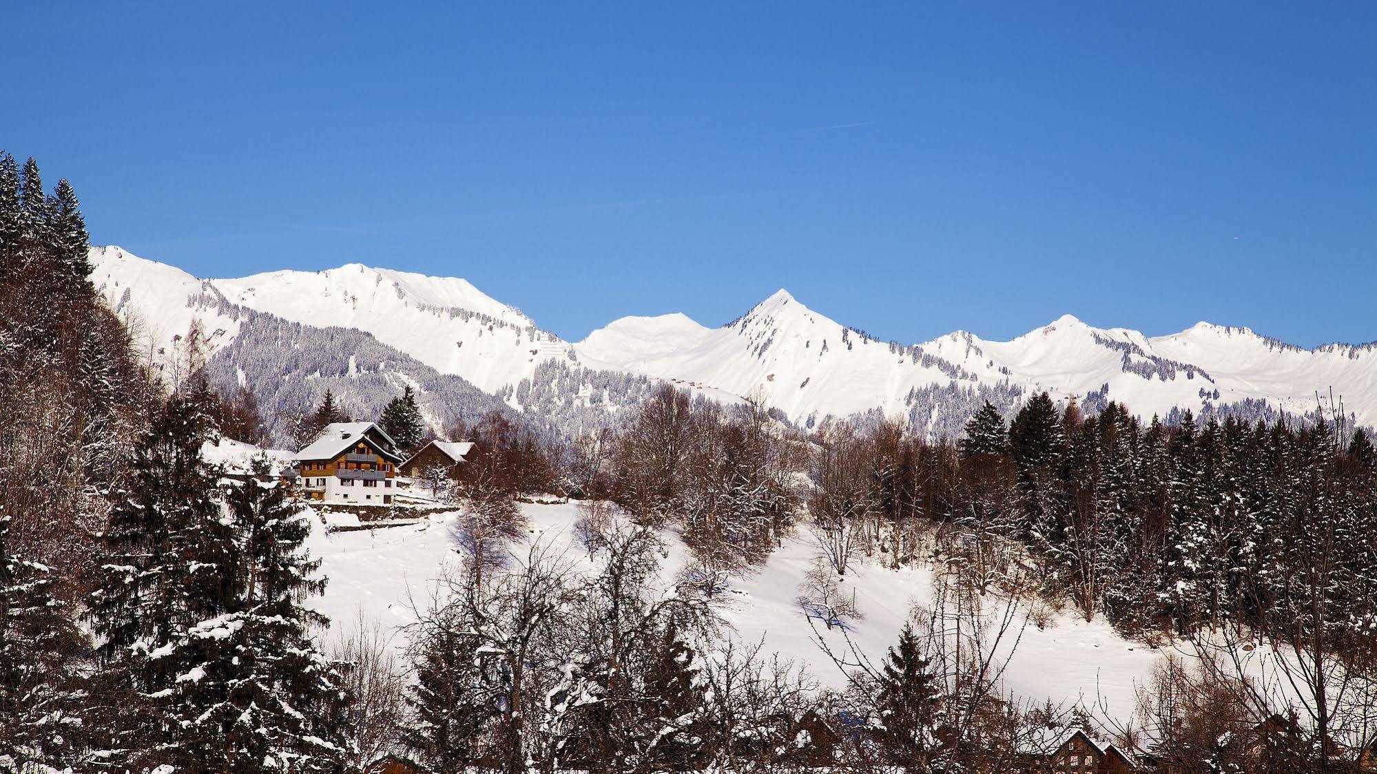 بورسربيرغ Naturhotel Taleu المظهر الخارجي الصورة